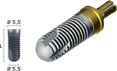 titanium implant